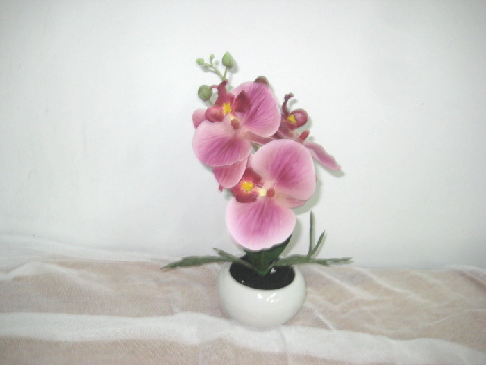 Ceramic pot + small German orchids