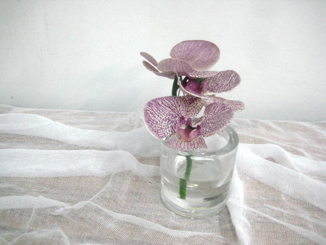 Orchid in small Spanish glass vase